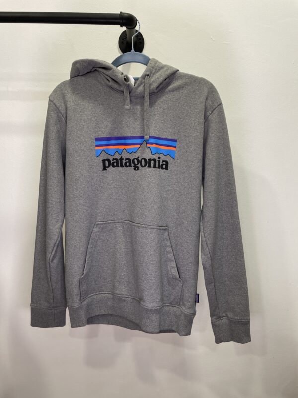 SUDADERA PATAGONIA T-S